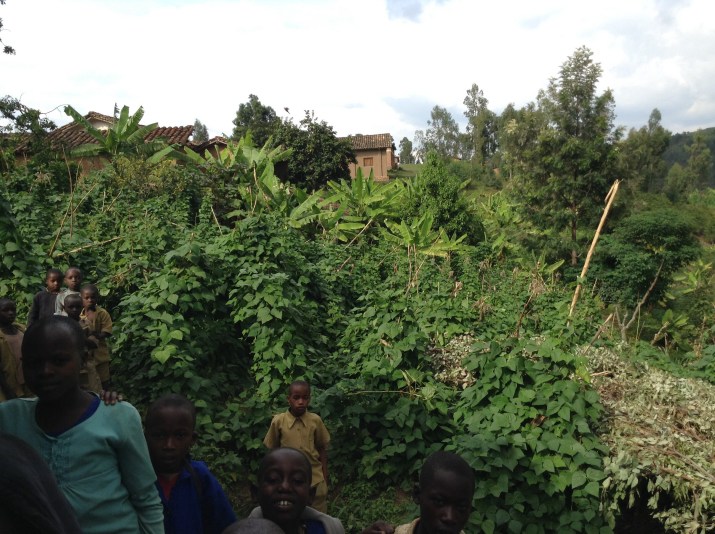 D'autres facteurs à prendre en compte, pour le moment avec les cultures, difficile d'y voir clair