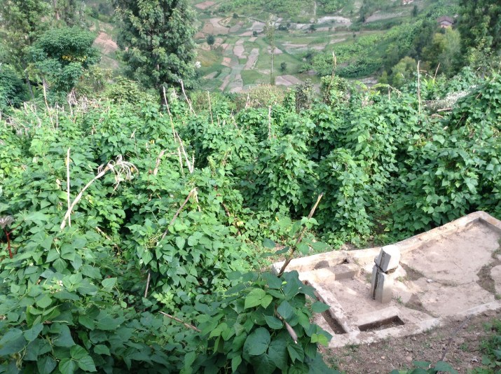 Derrière le bâtiment "François"