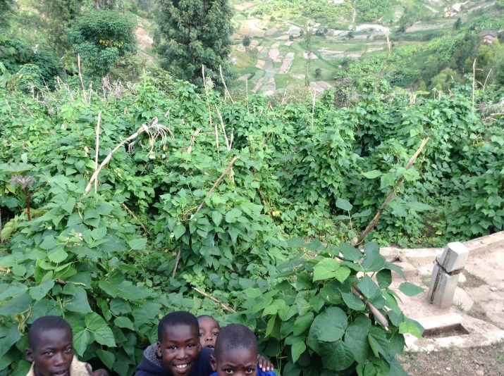 Etudier les possibilités d'implanter ICI le prochain bâtiment