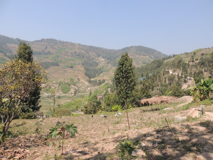 Tout d'abord, nos yeux se dirigent naturellement vers la vallée. Mu kabande!
