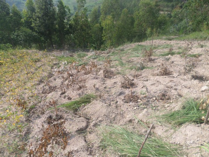 SAMSUNG CAMERA PICTURES