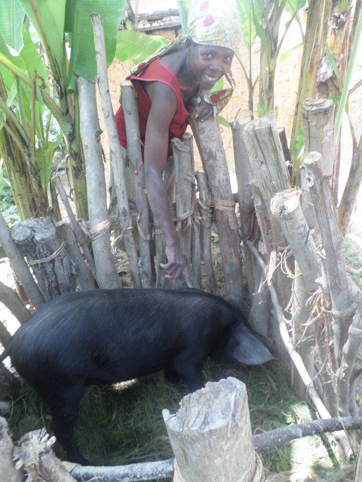 SAMSUNG CAMERA PICTURES