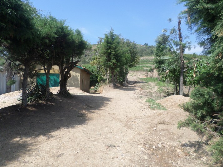 SAMSUNG CAMERA PICTURES