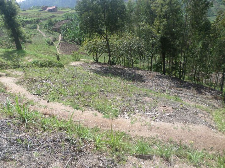 SAMSUNG CAMERA PICTURES