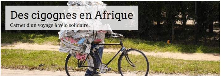 les_cigognes_en_Afrique