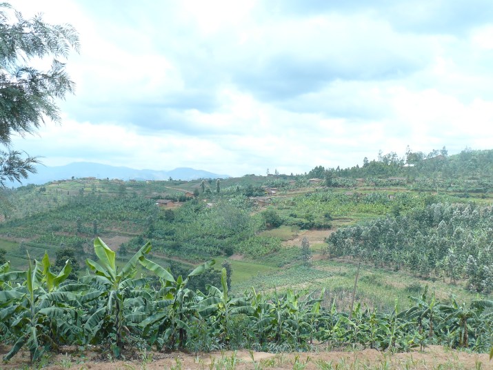 100 jours moins 14 jours.JPG