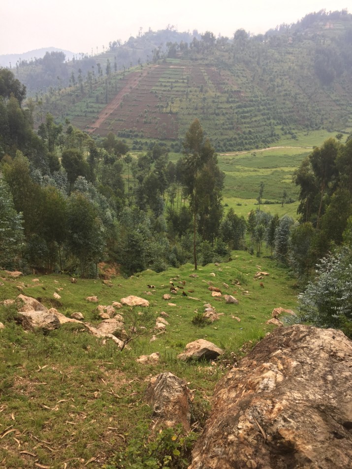 100 jours moins 16 jours