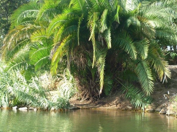 100 jours moins 20 jours ...