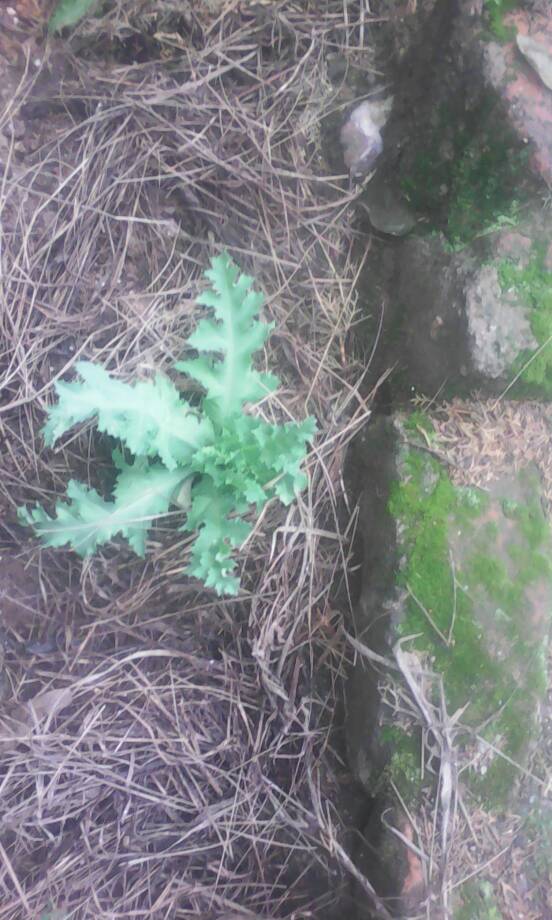 100 jours moins 22 jours ...