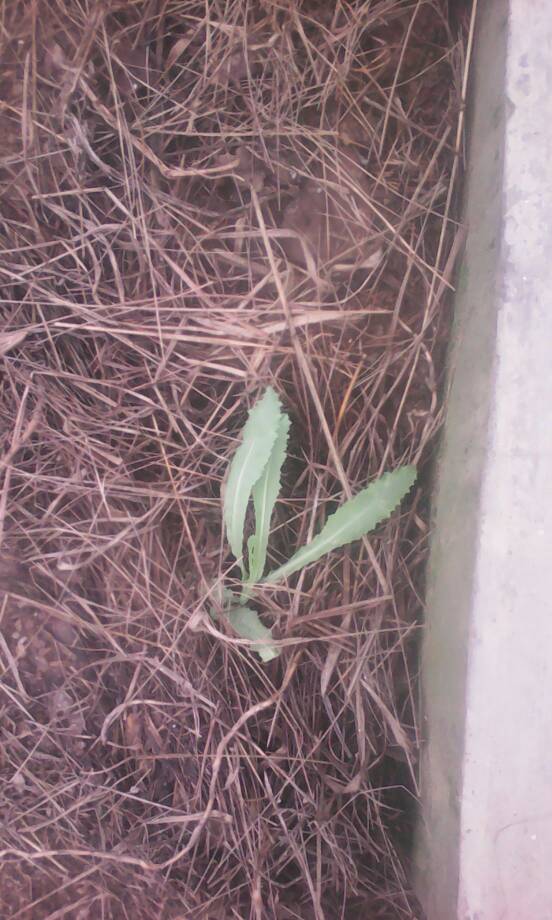 100 jours moins 26 jours ...