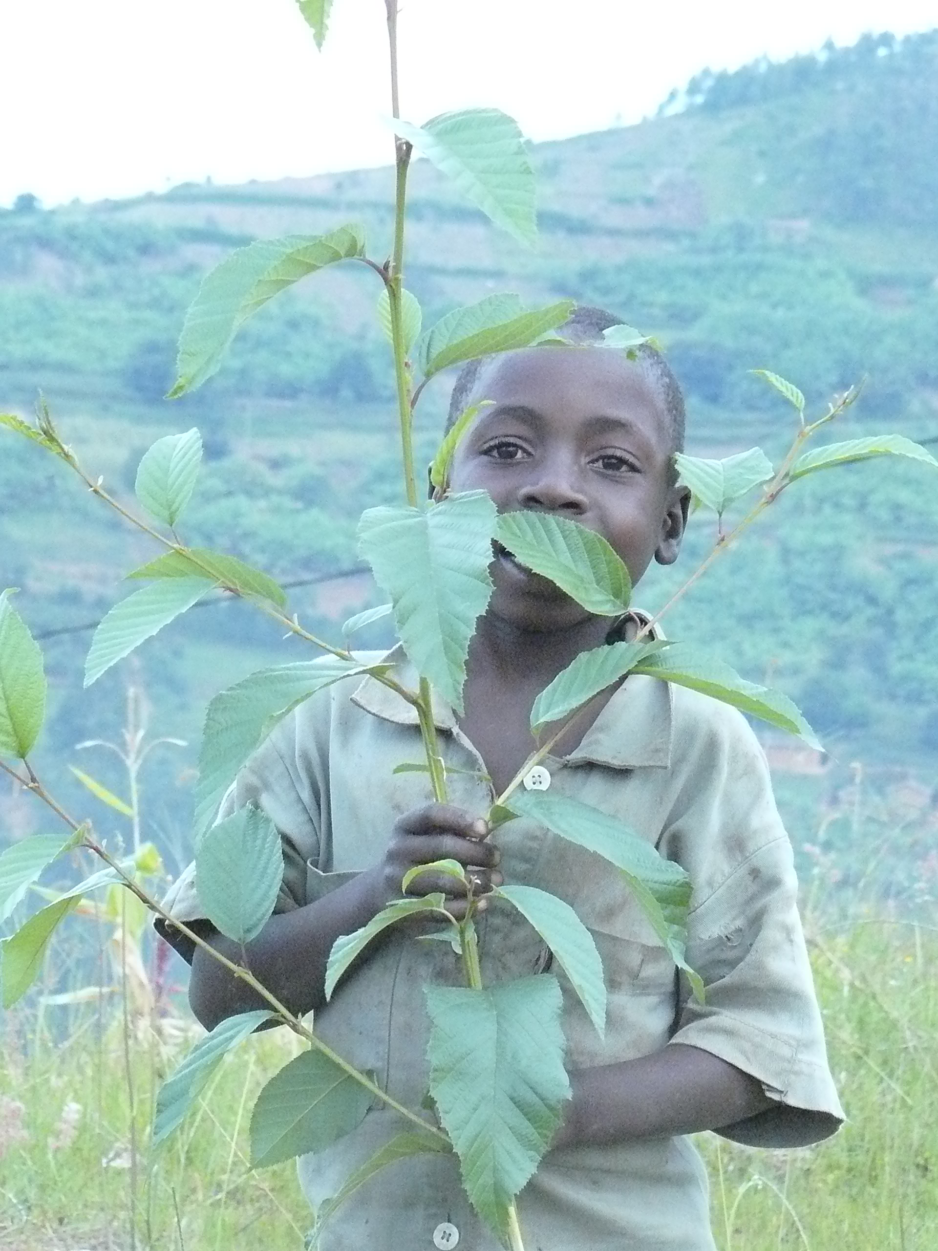 100 jours moins 5 jours.JPG