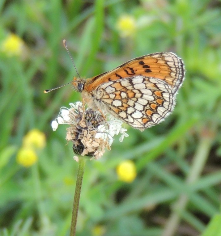 100 jours moins 7 jours