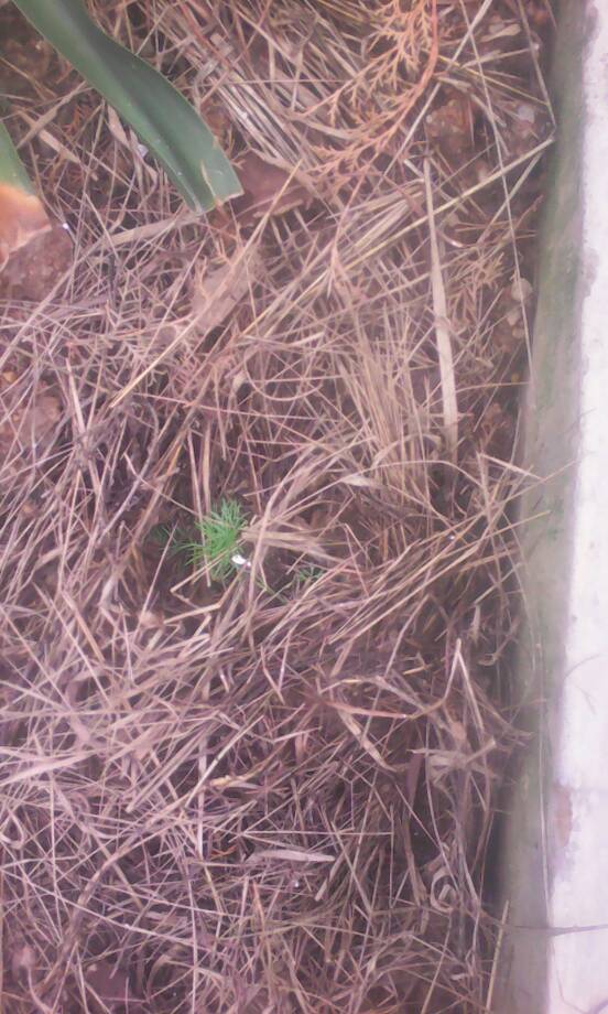 100 jours moins 24 jours ...