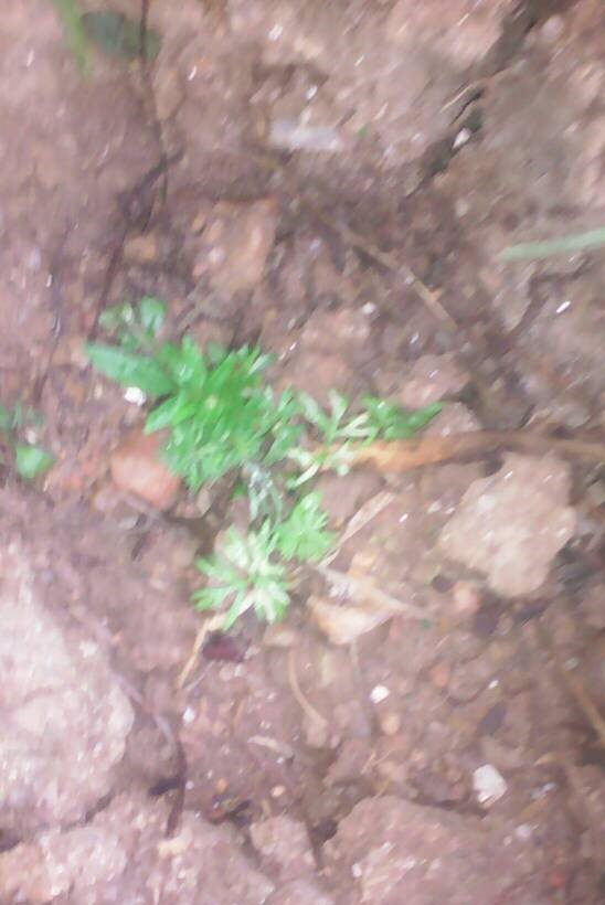 100 jours moins 30 jours ...