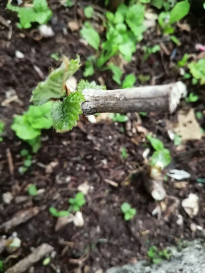 100 jours moins 51 jours ...