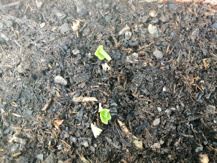 100 jours moins 54 jours ...