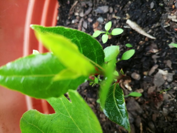 100 jours moins 57 jours ...