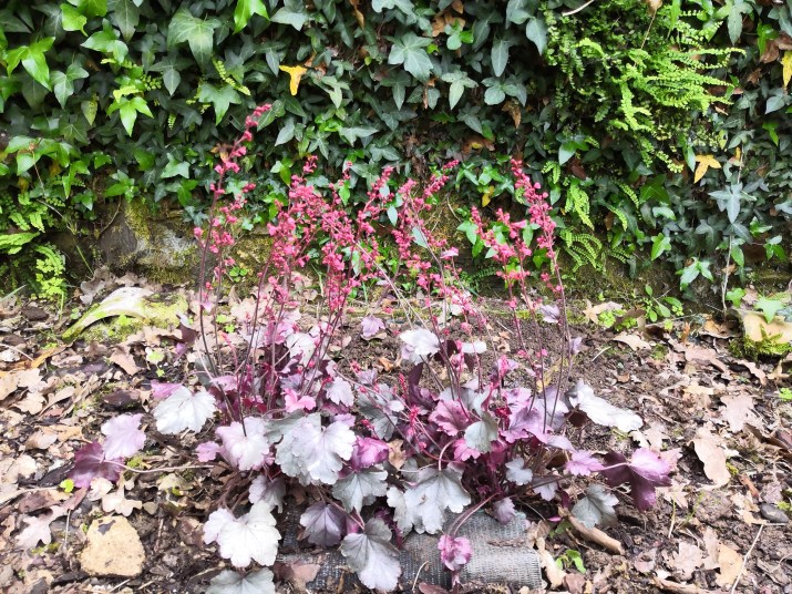 100 jours moins 58 jours ...