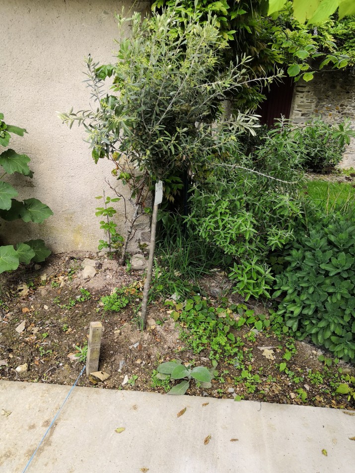 100 jours moins 59 jours ...