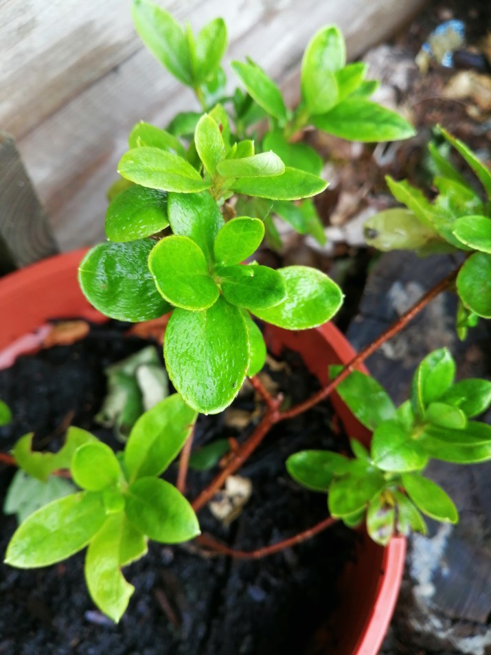 100 jours moins 63 jours ...