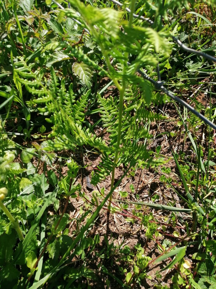 100 jours moins 78 jours ...