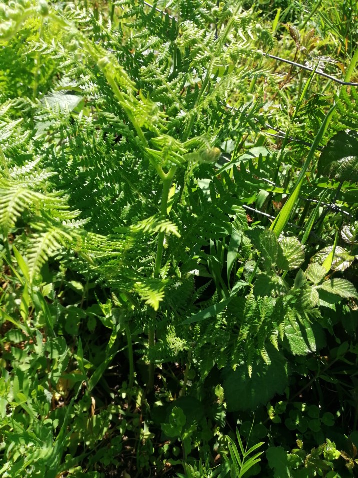 100 jours moins 80 jours ...