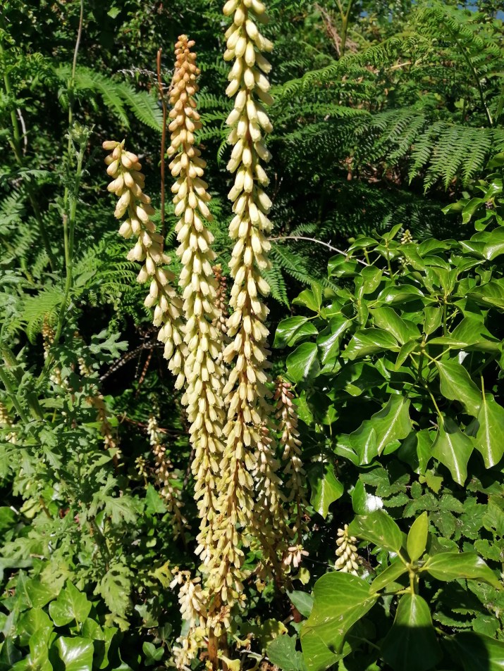 100 jours moins 83 jours ...