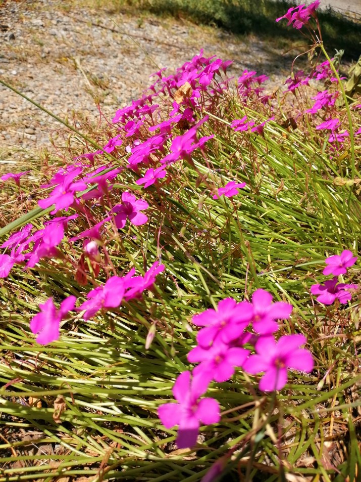 100 jours moins 85 jours ...