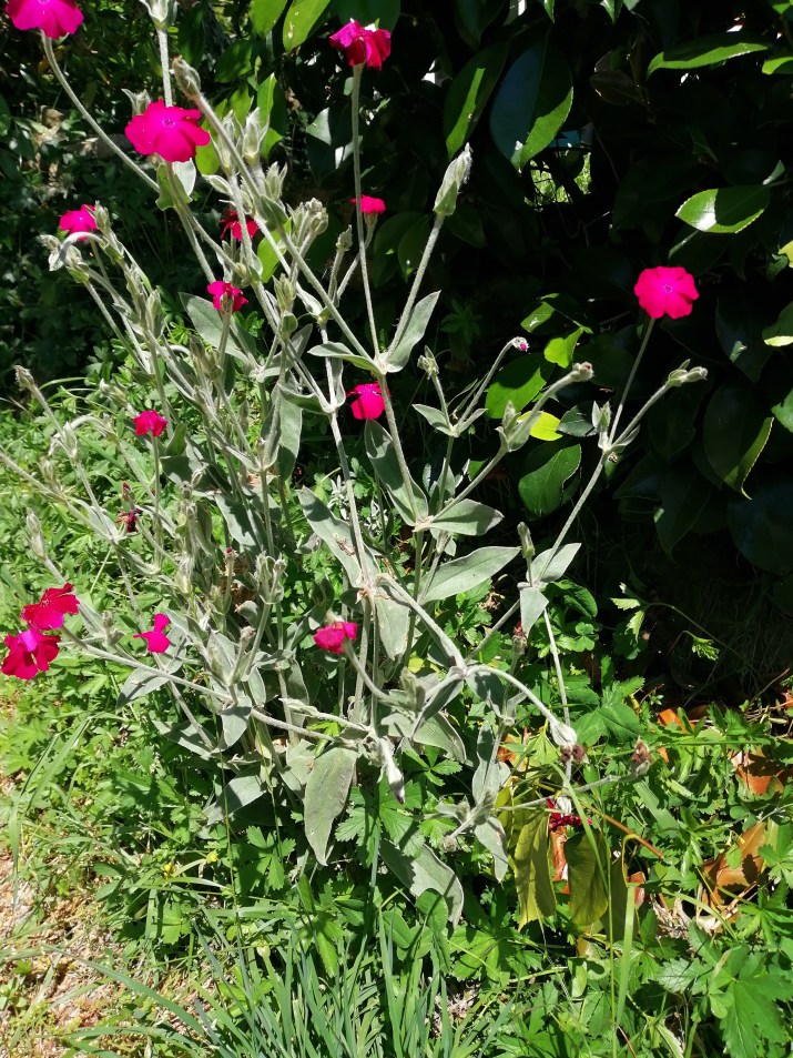 100 jours moins 86 jours ...