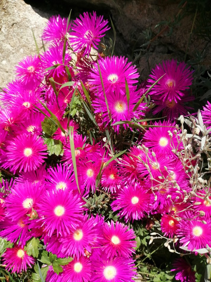 100 jours moins 87 jours ...