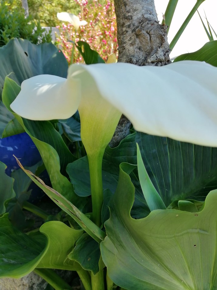 100 jours moins 88 jours ...