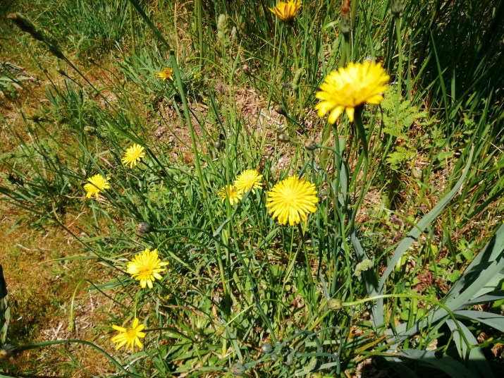 100 jours moins 90 jours ...