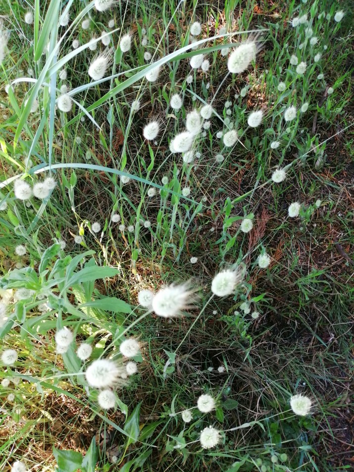 100 jours moins 91 jours ...