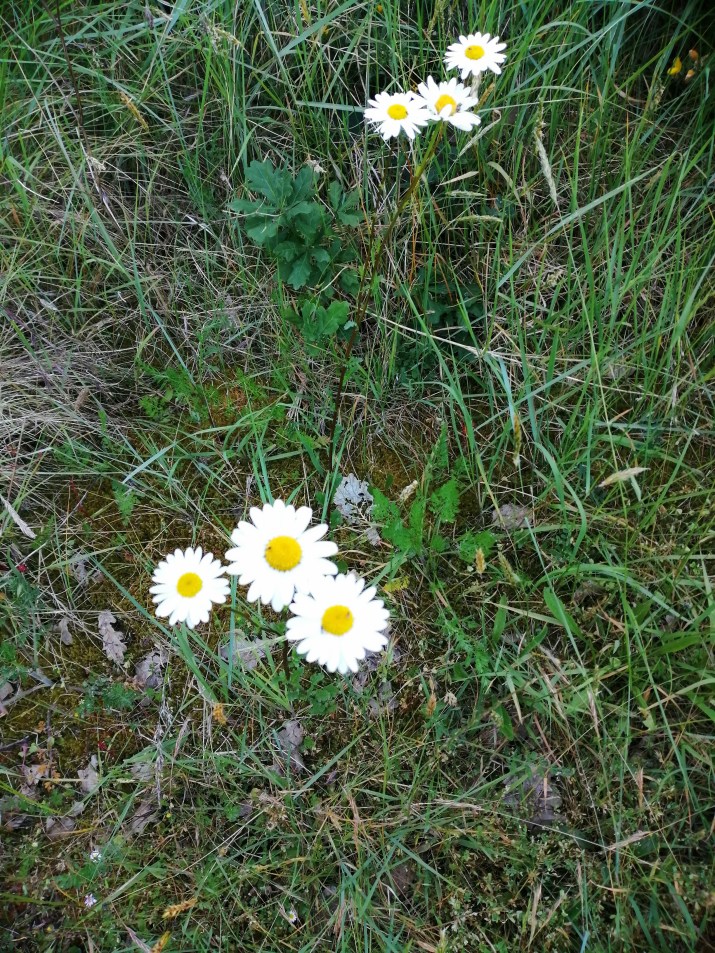 100 jours moins 92 jours ...