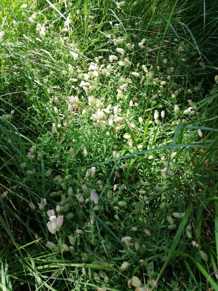 100 jours moins 95 jours ...