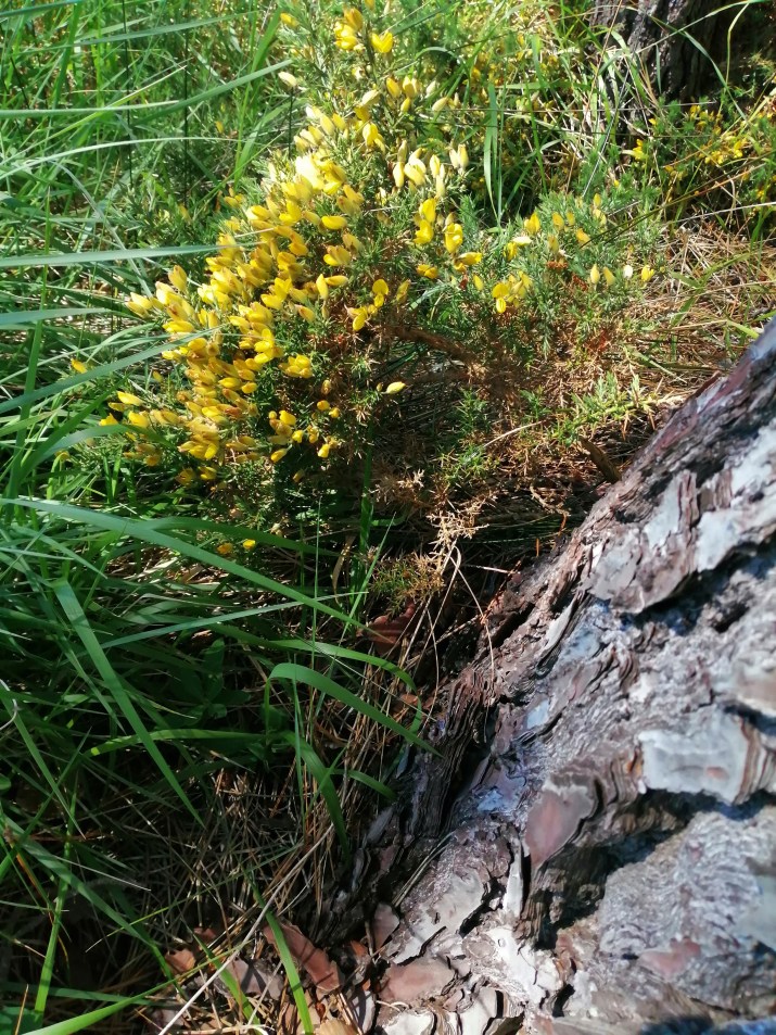 100 jours moins 96 jours ...