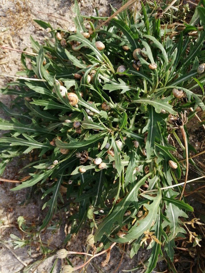 100 jours moins 98 jours ...