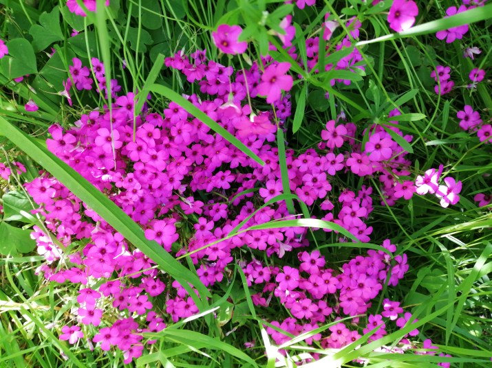 100 jours moins 99 jours ...